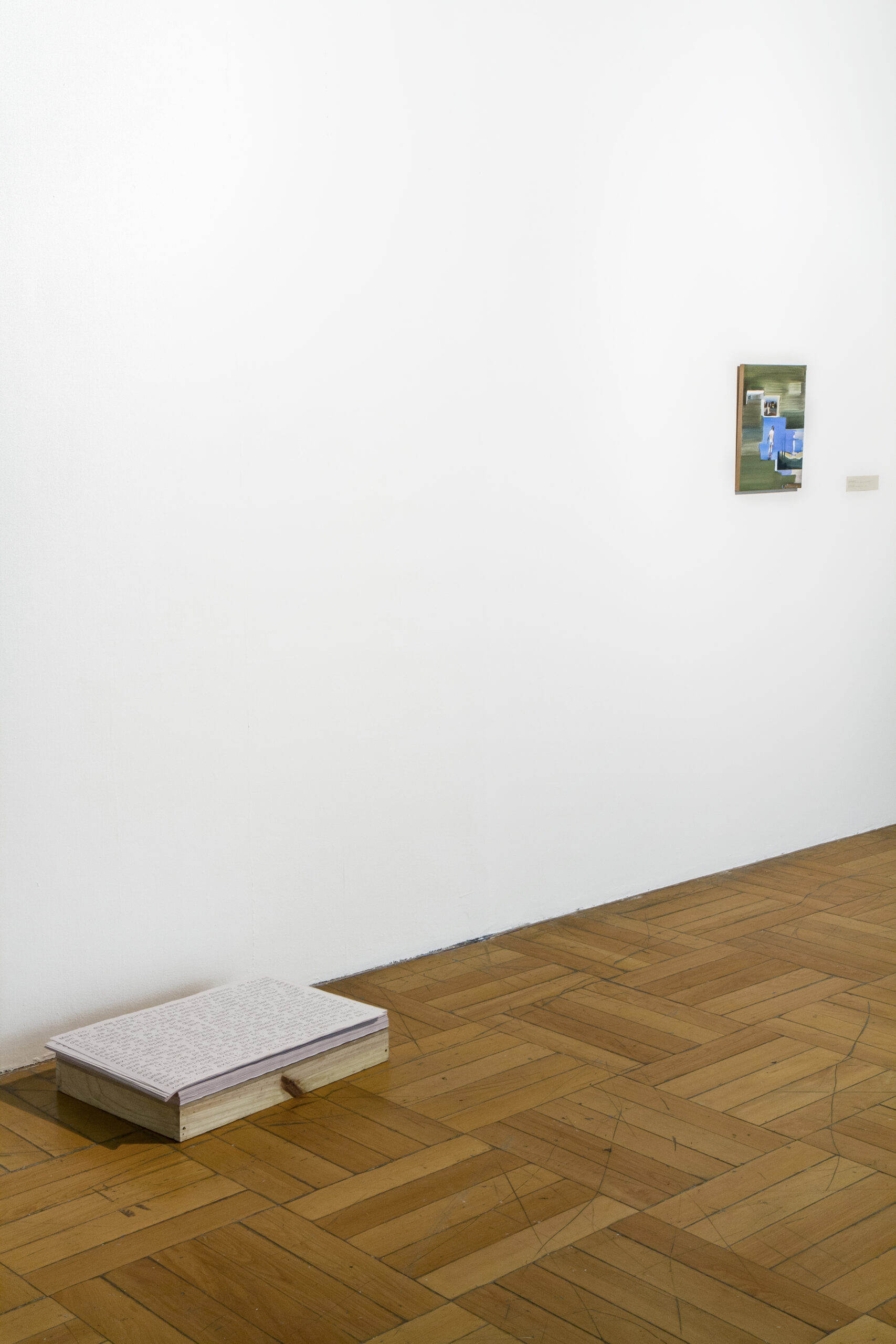 A Invenção da Praia-installation-view-Paço das Artes-São Paulo-2014 03