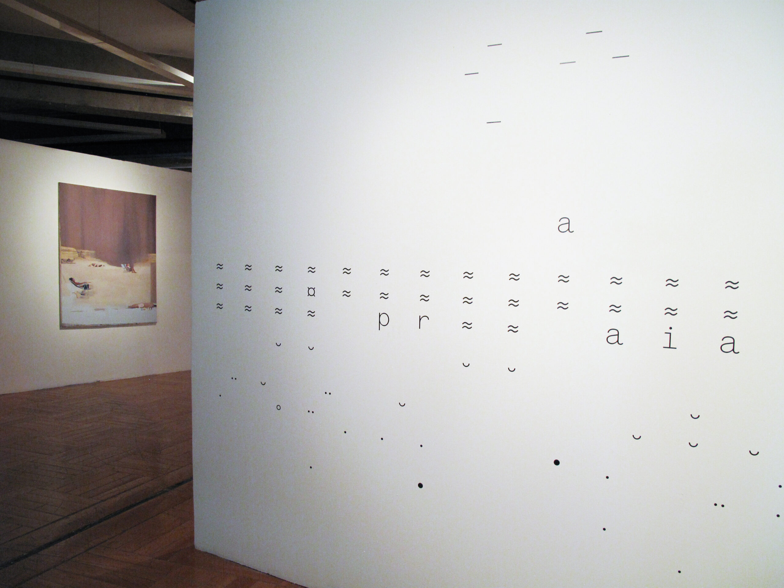 A Invenção da Praia-installation-view-Paço das Artes-São Paulo-2014 04