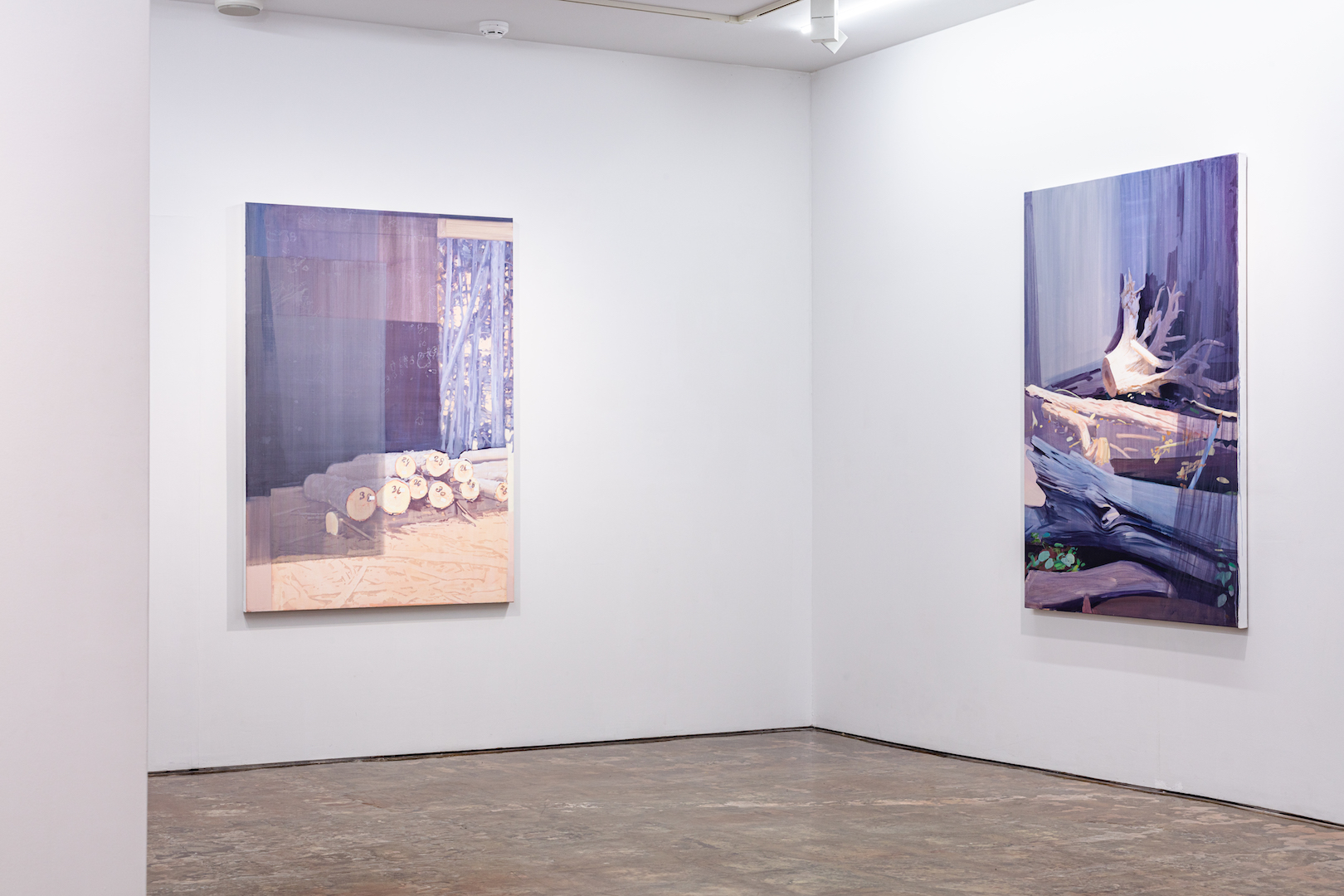 Distance-installation-view-Galery38-2021_Photographe-Takahiro TSUSHIMA 05