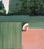 CPO_2017_Double Distance 2_HD_CROPPED