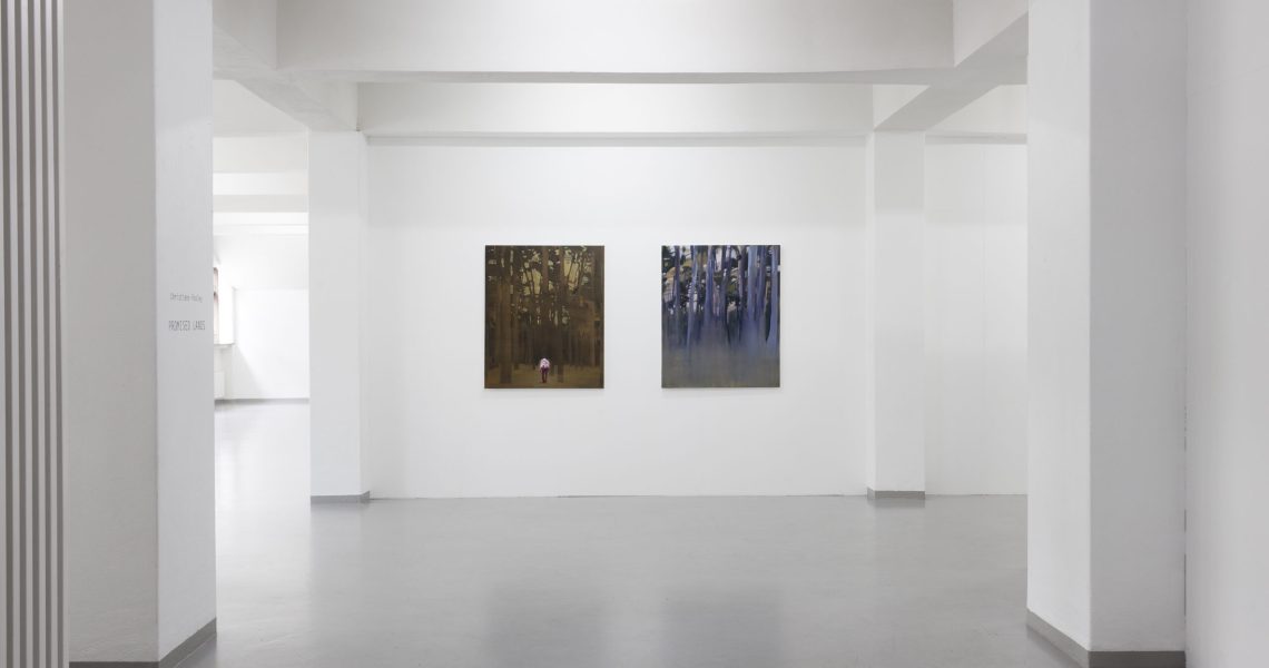 Promised-lands_installation-view-Sandnes-Kunstforening_Photographe-Christopher-Jonassen_24