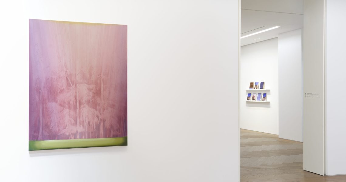 Trilla_installation-view-Perrotin-Shanghai_89